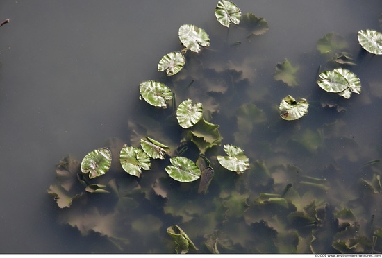 Waterplants