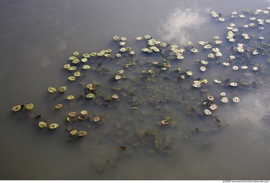 Waterplants