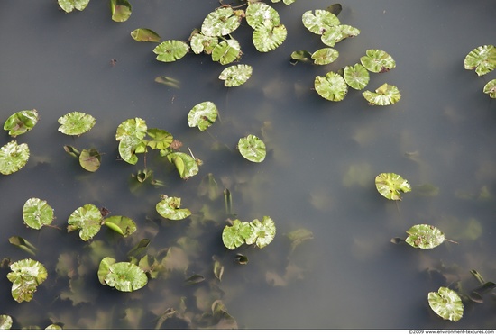 Waterplants