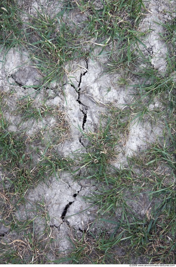 Cracked Soil