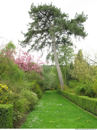 Background Gardens