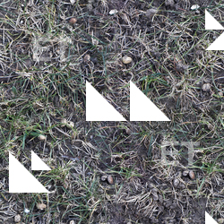 Seamless Grass Dead