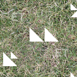 Seamless Grass