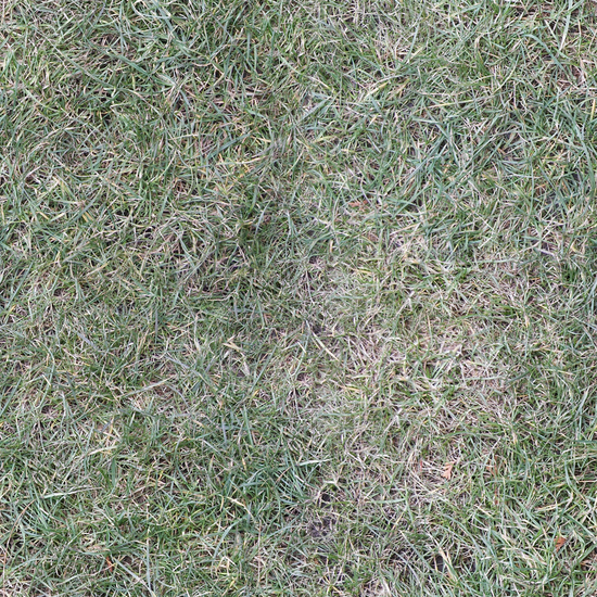 Seamless Grass