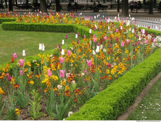 Background Gardens