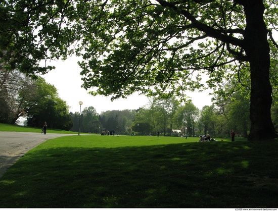 Background Gardens