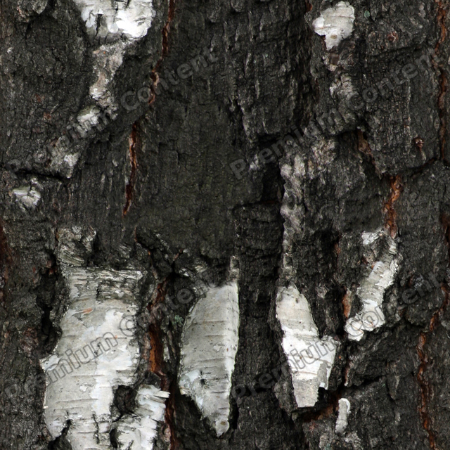 Seamless Tree Bark