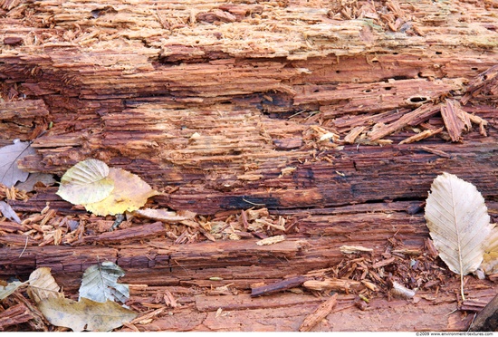 Rough Wood