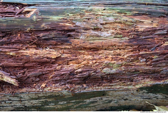 Rough Wood