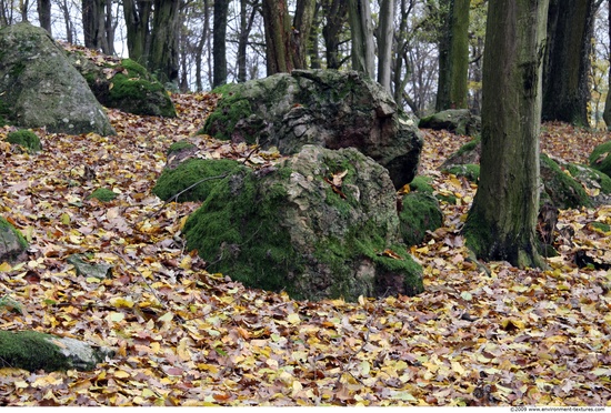 Mossy Rock