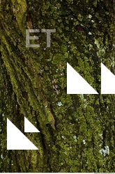 Tree Bark