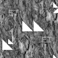 Seamless Tree Bark
