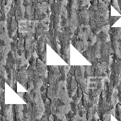 Seamless Tree Bark