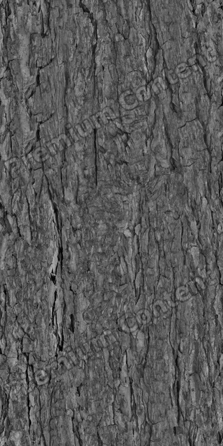 Seamless Tree Bark