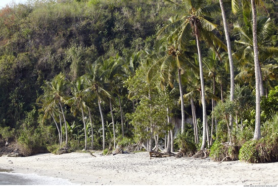 Background Beach