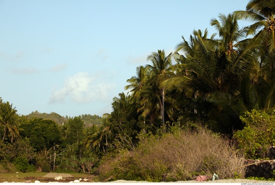 Background Forests