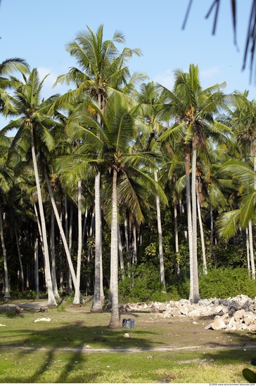 Background Forests