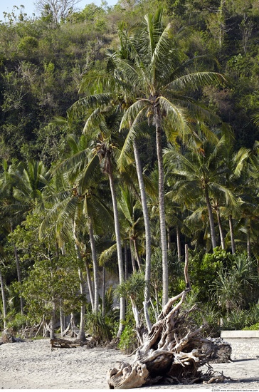 Background Beach