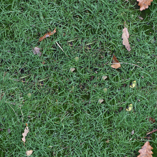 Seamless Grass