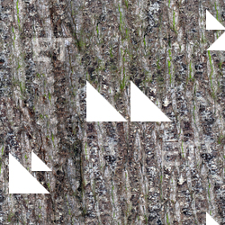 Seamless Bark 0001
