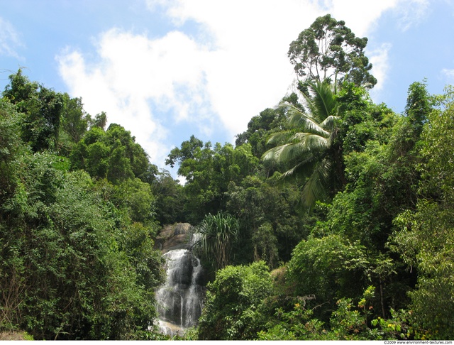 Background Forests