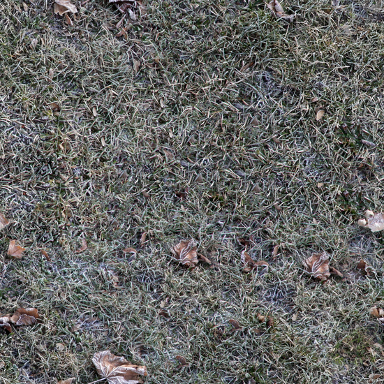 Seamless Grass Frozen