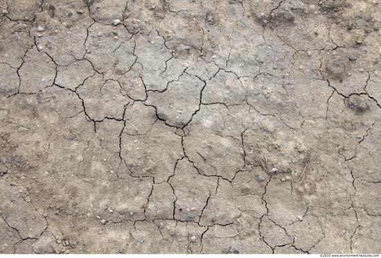 Cracked Soil