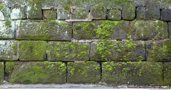 Overgrown Walls Stones