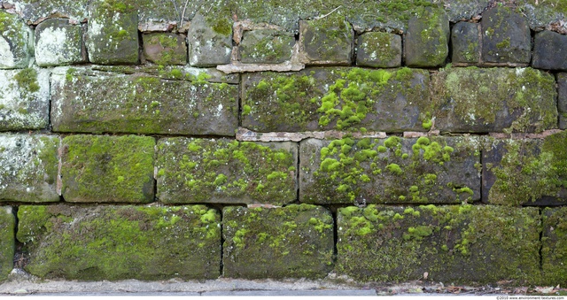Overgrown Walls Stones