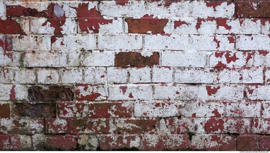 Wall Bricks Painted