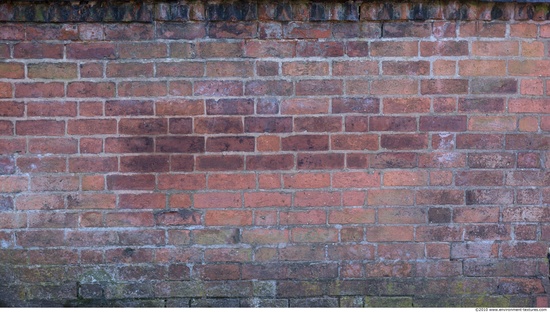 Wall Bricks Damaged