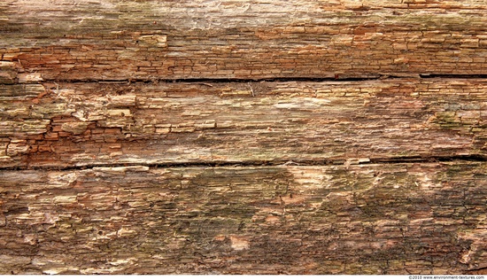 Rough Wood