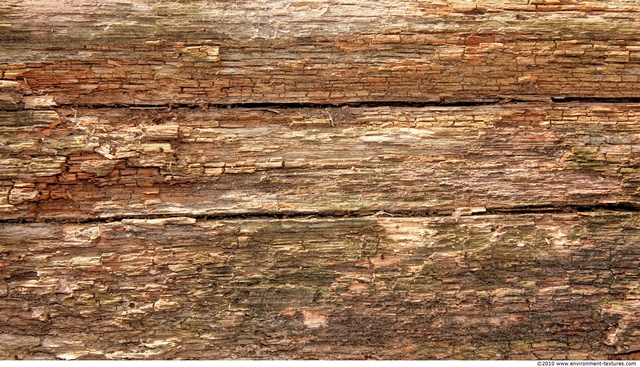 Rough Wood