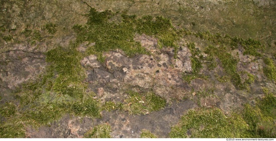 Mossy Rock