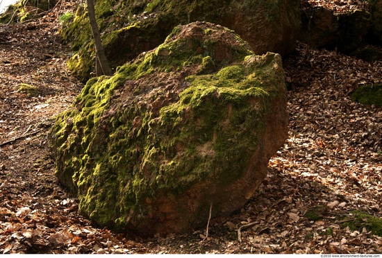 Mossy Rock