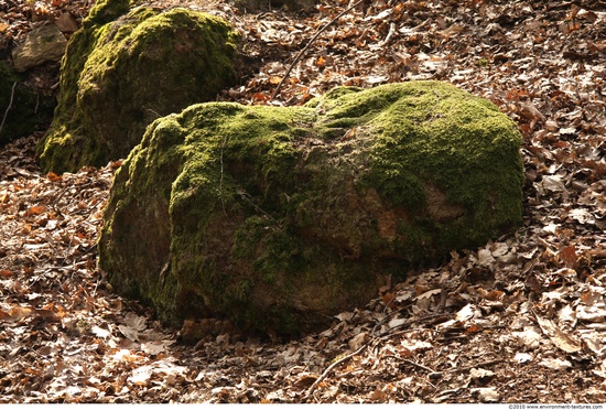 Mossy Rock