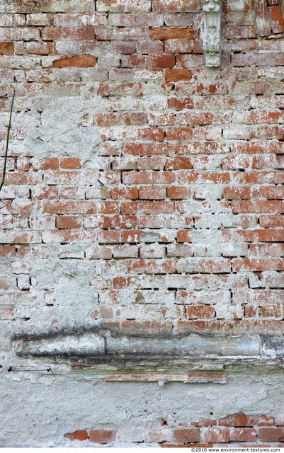 Wall Bricks Plastered