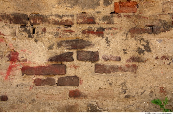 Wall Bricks Plastered