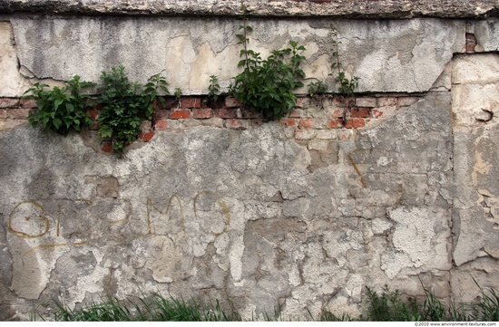 Walls Plaster Damaged