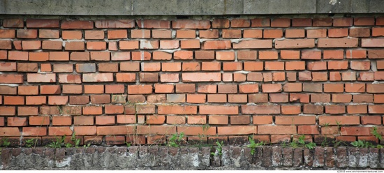 Wall Bricks Damaged