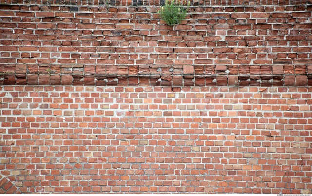 Wall Bricks Damaged