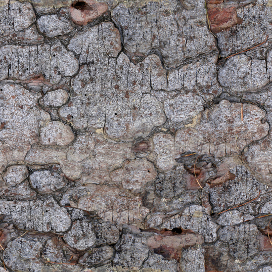 Seamless Tree Bark