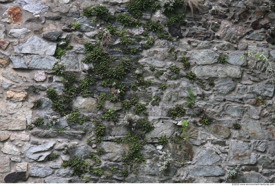 Overgrown Walls Stones