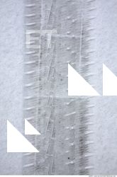 Snow Trace