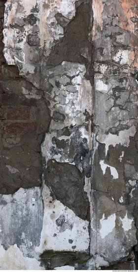 Walls Plaster Damaged