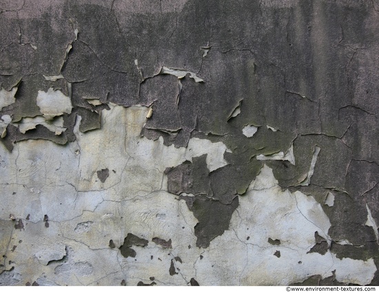 Wall Plaster Paint Peeling