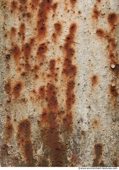 Rusted Paint