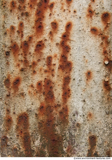 Rusted Paint