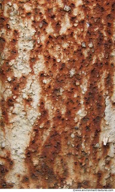 Rusted Paint