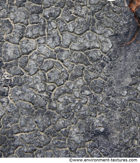 Damaged Asphalt